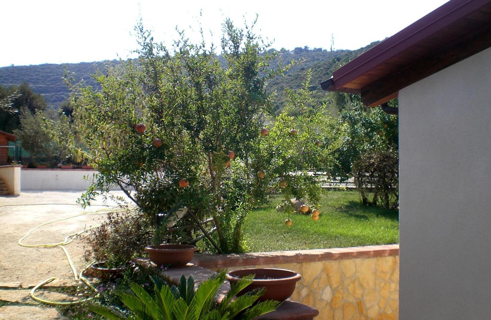 Bed And Breakfast La Casetta Monopoli Dış mekan fotoğraf