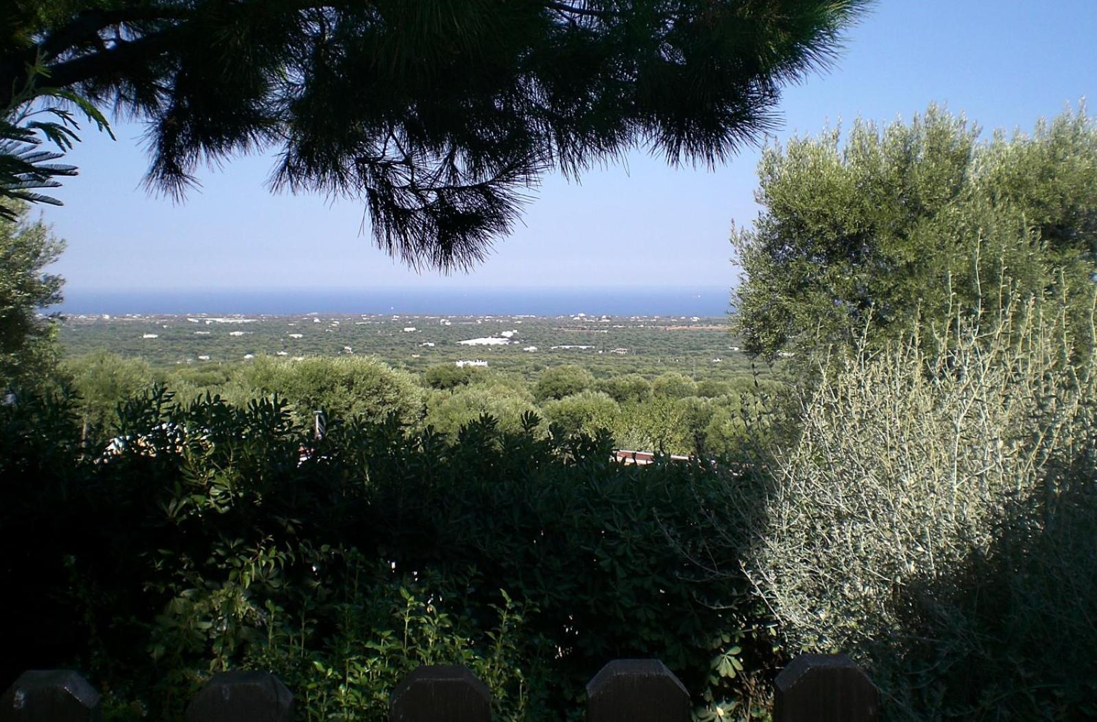 Bed And Breakfast La Casetta Monopoli Dış mekan fotoğraf