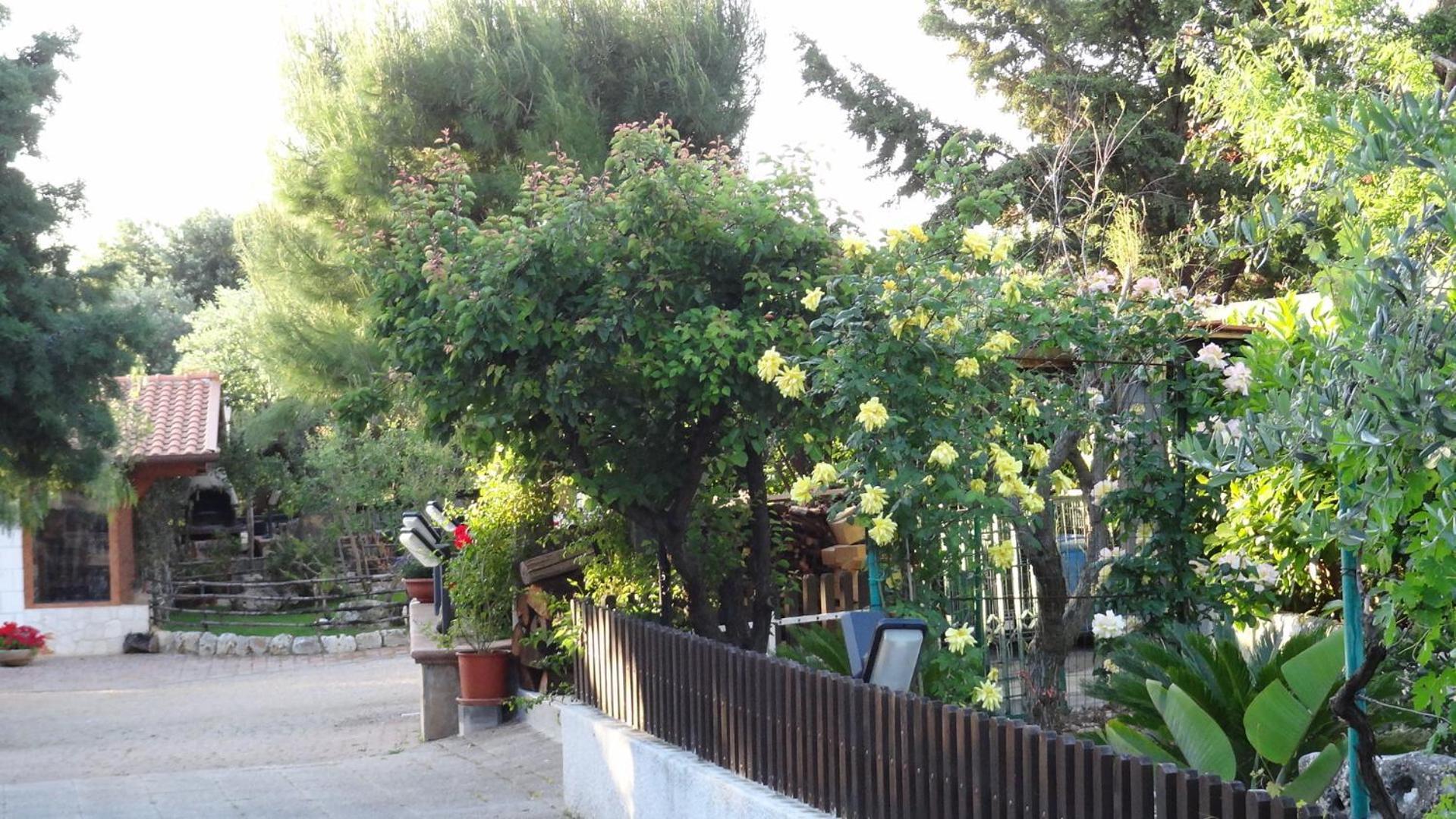 Bed And Breakfast La Casetta Monopoli Dış mekan fotoğraf