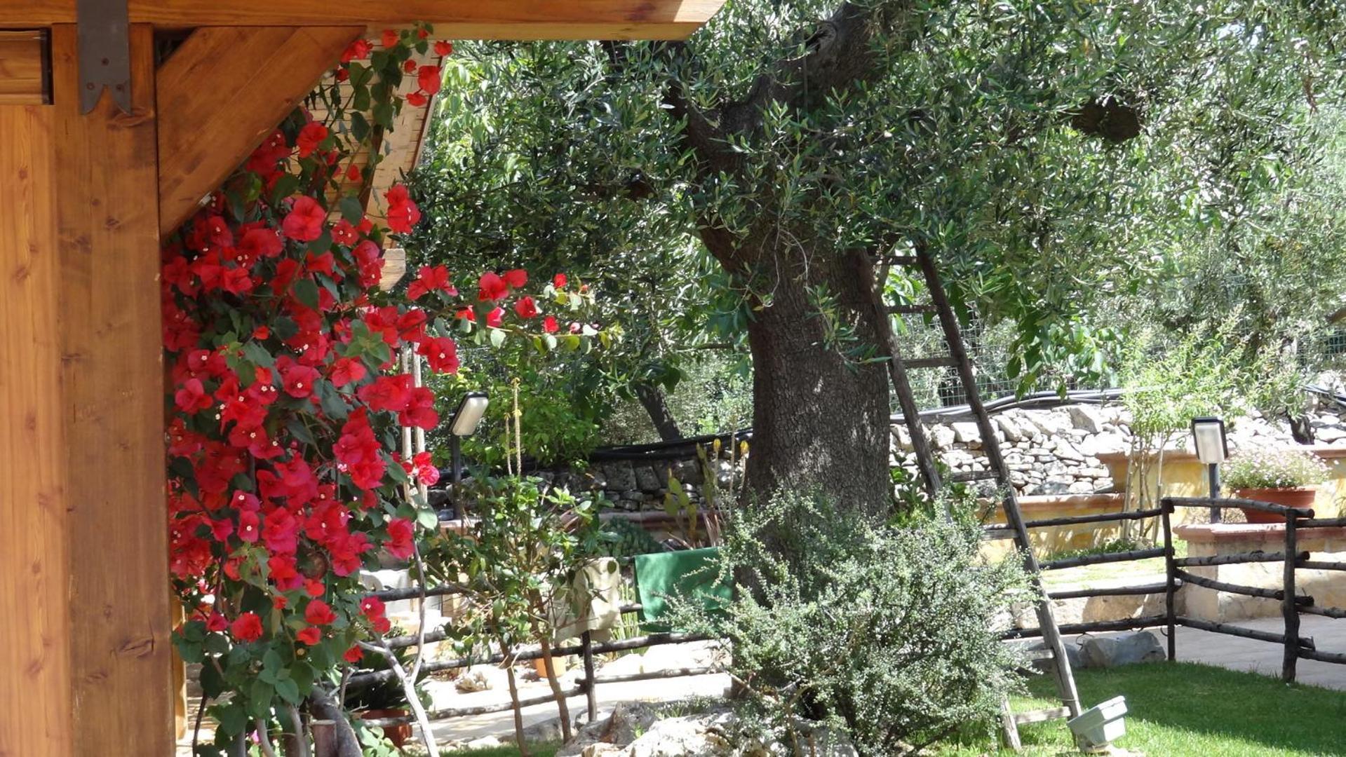 Bed And Breakfast La Casetta Monopoli Dış mekan fotoğraf