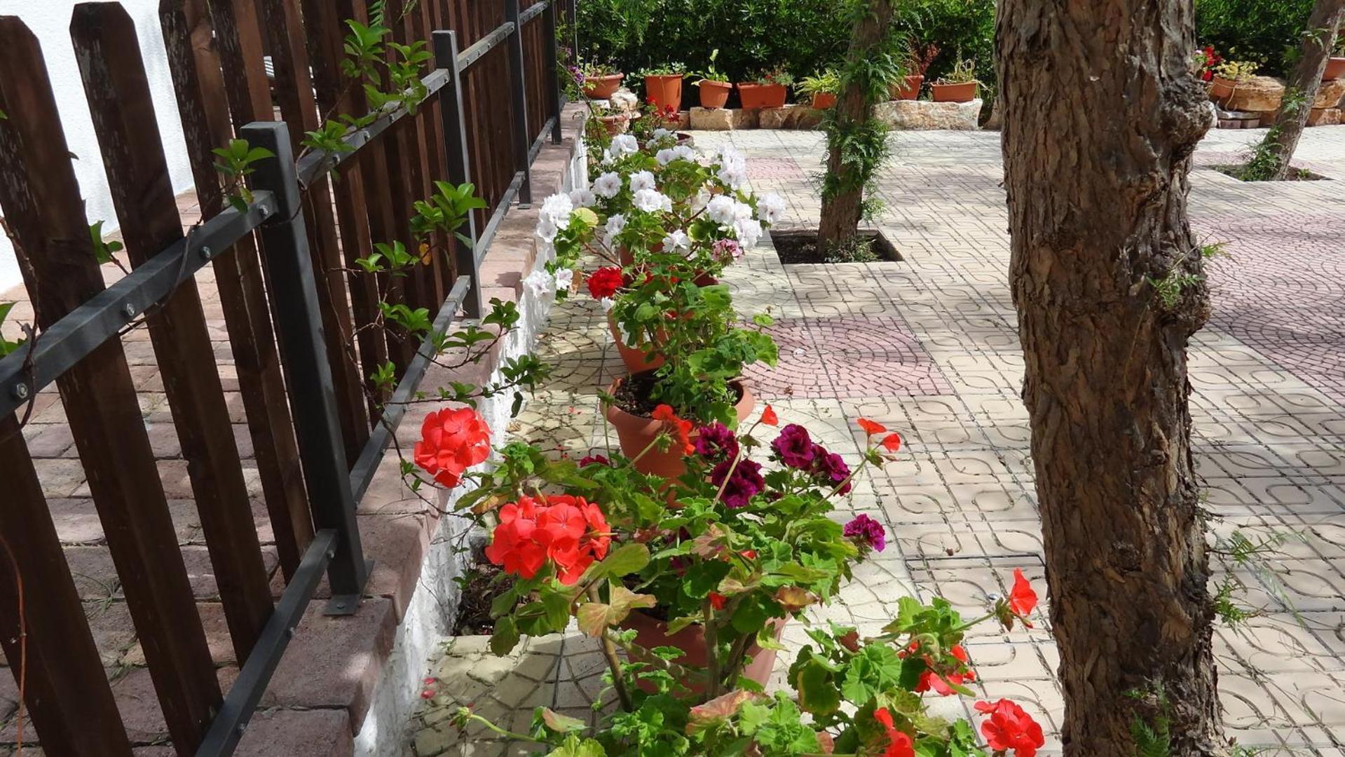 Bed And Breakfast La Casetta Monopoli Dış mekan fotoğraf
